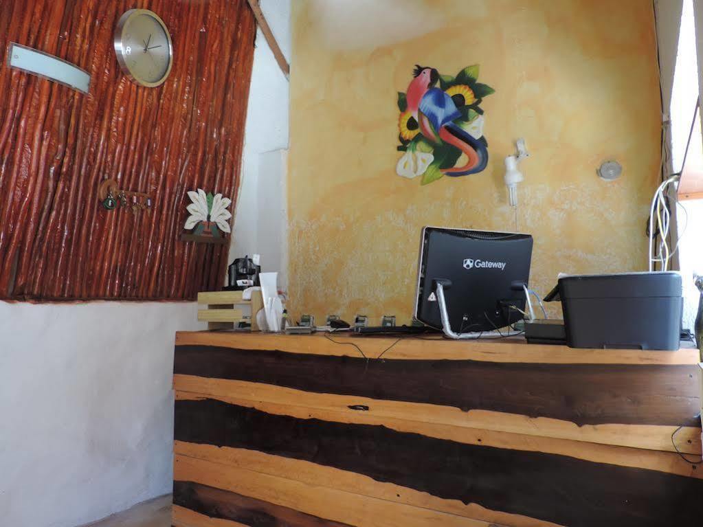 Golden Paradise Town Hotel Isla Holbox Ngoại thất bức ảnh